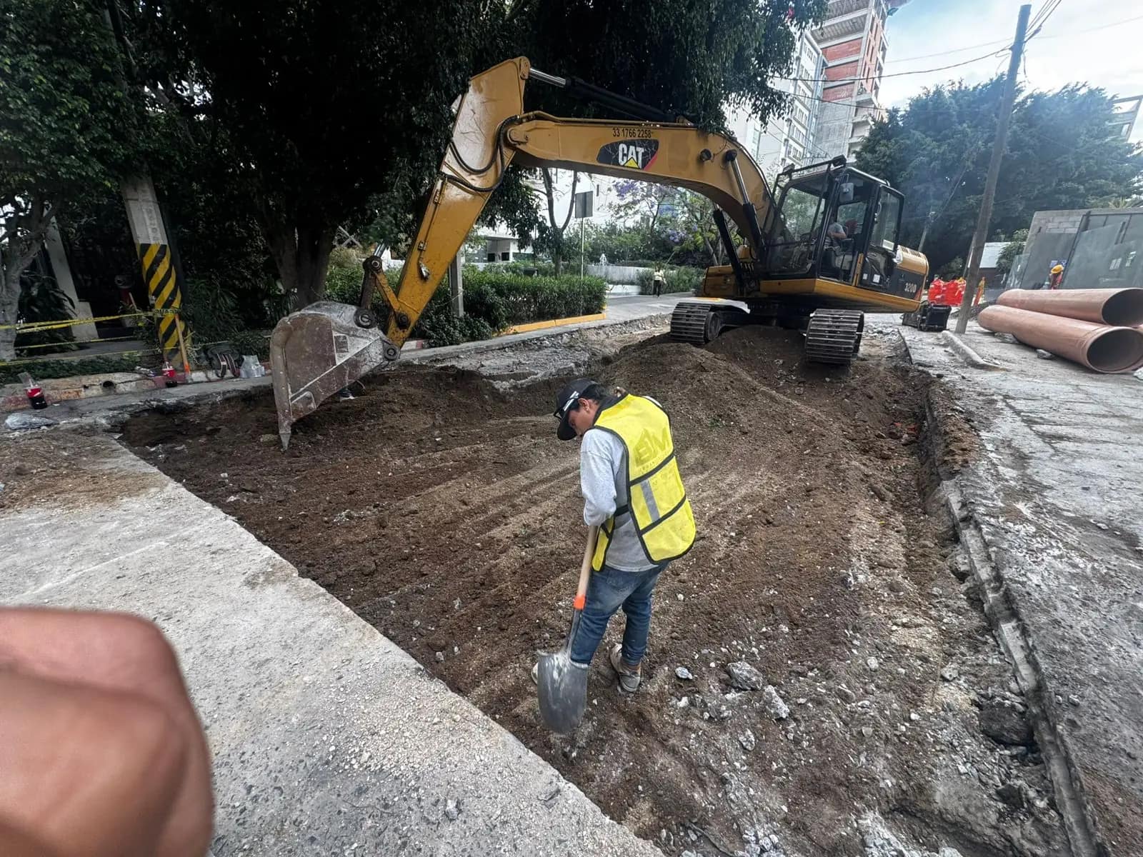 Excavadora CAT abriendo zanja en avenida arbolada